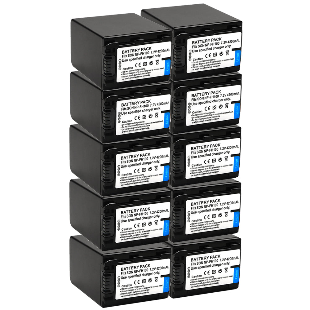 NP-FH100 Battery for Sony Cyber-Shot DSC-HX1 DSC-HX100V DSC-HX200V HDR-TG5V 4200mAh Camera Batteries
