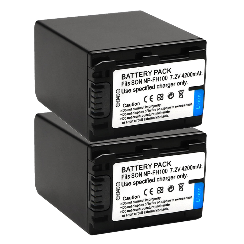 NP-FH100 Battery for Sony Cyber-Shot DSC-HX1 DSC-HX100V DSC-HX200V HDR-TG5V 4200mAh Camera Batteries